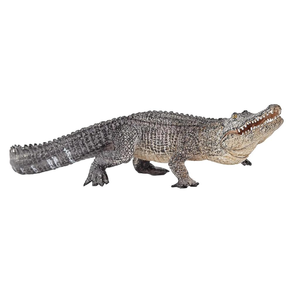 موجو نقره ای تمساح 387168