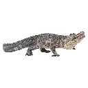 موجو نقره ای تمساح 387168